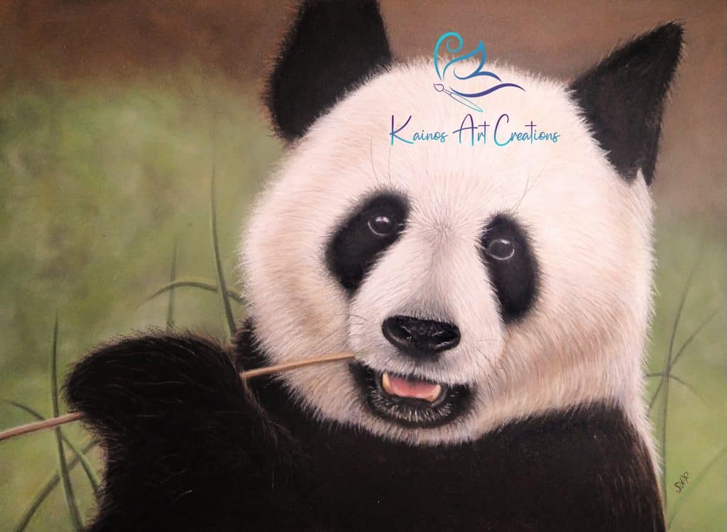 God's Creation Brings Healing to the Broken Heart